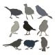 Sizzix Thinlits Dies By Tim Holtz 9PkgSilhouette Birds