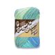 Spinrite Lily Sugar'n Cream Yarn Stripes Country Pack of 1 Skein