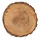 Warm And Cozy Collection 12 X 12 Die Cut Paper Tree Trunk