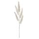 Seasonal Floral Christmas Fern Pick With Glitter Champagne 3.9 X 37 X 1.97 Inches