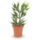 Timeless Miniatures Large House Plant