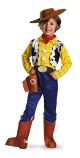 Boys Toy Story 2 Woody Costume 3T 4T