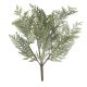Cedar Bush Green 11 X 23.5 Inches
