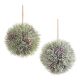 Pine Kissing Ball 8 Inches 2 Assorted Styles