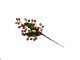 Christmas Pick Berry Red And Green Mix 13Inches Window Box
