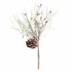 Pinecone Star Pick 9 X 12 Inches