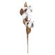 Cotton Pick White 3 X 12 Inches