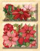 Susan Winget Glad Tidings Poinsettia And Holly Layered Accents