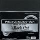 Smooth Cardstock 12 X12 Inches Black Cat