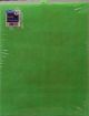 Plastic Canvas 10 X 13 Inches Neon Green