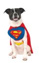 Classic Without Arms Pet Superman Costume Meduim