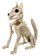 Skeleton Fox 16.5 Inches
