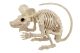 Skeleton Rat Large 21.5 Inches