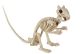 Seasons Skeleton Squirrel 3.5 x 15 x 5.5 Inch Bone Color