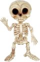 Seasons Crazy Bonez Vampire Skeleton Figurine