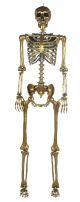 Seasons 68 Inch Gold Posable Skeleton Bone Color