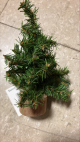 Christmas Floral Canadian Pine Tree With Wood Look Base 32 Tips