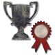 Sizzix Tim Holtz Alterations Collection Movers And Shapers Magnetic Die Mini Trophy And Prize Ribbon 1 pack 2 pieces