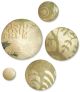 Sizzix Originals Die Jewelry Large Circles 1 pack 1 piece