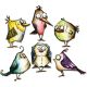 Sizzix Tim Holtz Alterations Collection Framelits Dies Bird Crazy 1 pack 18 pieces