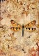 Stamperia Rice Paper Sheet A4 Mixed Media Dragonfly
