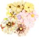 Prima Marketing Mulberry Paper Flowers Sunset Peach Fruit Paradise 12 Per Pkg