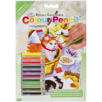 Mini Color Pencil By Number Kit 5"X7"-Family Pets