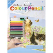 Color Pencil By Number Kit 8.75 X 11.75 inches Kittens