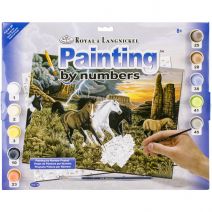 Junior Large Paint By Number Kit 15.25"X11.25"-Thunder Run