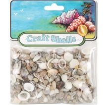 Craft Shells 150perPkg Natural
