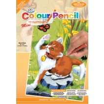 Mini Color Pencil By Number Kit 5"X7"-Kitten & Butterfly