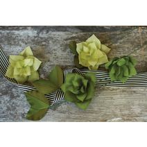 Double-Sided Extra Fine Crepe Paper 2/Pkg-Green Tea/Cypress & Ferns/Moss