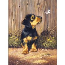 Junior Small Paint By Number Kit 8.75 Inch X11.75 Inch Dachshund Puppy