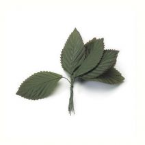 Large Rose Leaf Green 1-1/2 X 3 Inches