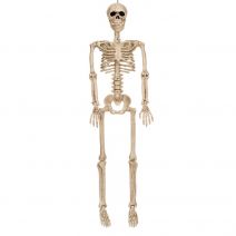 Seasons Crazy Bonez Posable Skeleton Decoration 36 inch