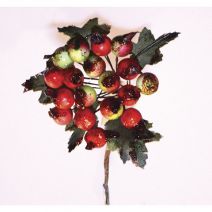 Christmas Floral Blueberry Pick Assorted Matte Red and Matte Burgundy