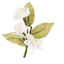 David Tutera Artificial Wedding Boutonniere White Blossoms With Green Leaves