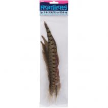 Pheasant Feathers Ringneck Tail 8 to 12 Inches