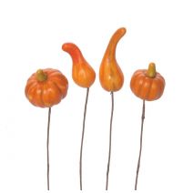 Gourd And Pumpkin Picks Assorted Styles